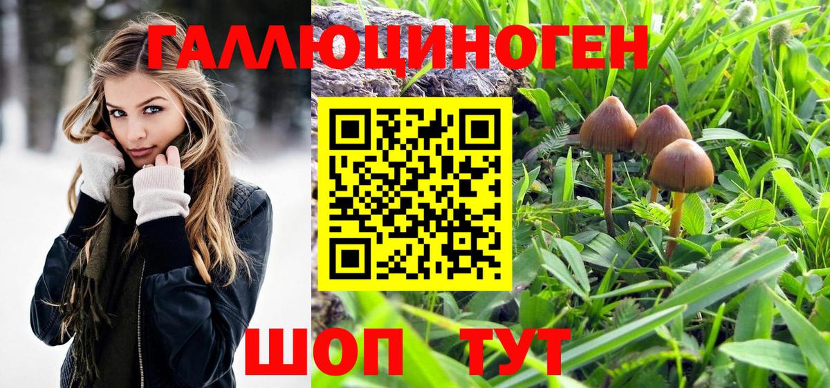 Галлюциногенные грибы мухоморы  Псилоцибиновые грибы прущие грибы  Вход с VPN  Ноябрьск 