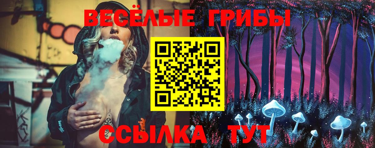 Псилоцибиновые грибы прущие грибы Ноябрьск